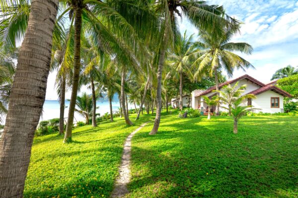 Đánh Giá Toàn Diện Và Cập Nhật Giá The Camellia Sơn Trà: Kiệt Tác Nghỉ Dưỡng Giữa Lòng Kỳ Quan